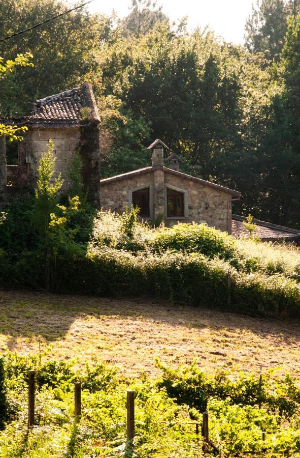 レドンデーラ Casa D'Minaゲストハウス エクステリア 写真