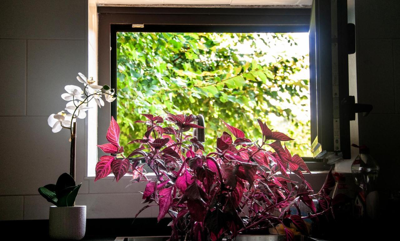 レドンデーラ Casa D'Minaゲストハウス エクステリア 写真